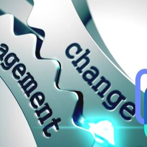 Broot consulting change management